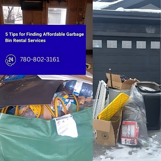 5 Tips for Finding Affordable Garbage Bin Rental Services