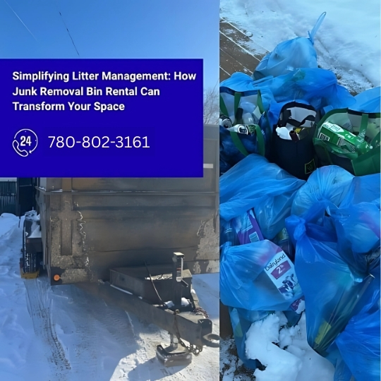 Simplifying Litter Management How Junk Removal Bin Rental Can Transform Your Space