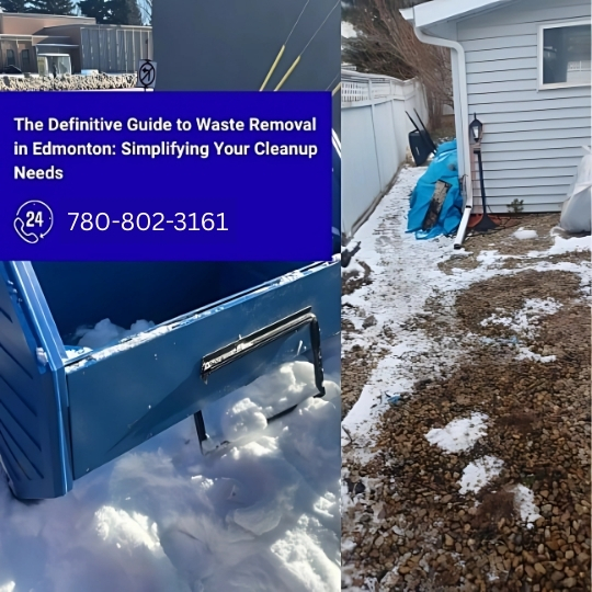 The Definitive Guide to Waste Removal in Edmonton Simplifying Your Cleanup Needs
