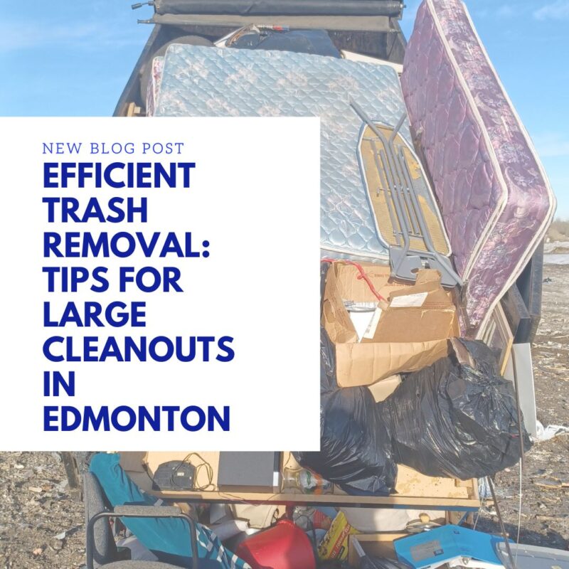 Efficient Trash Removal Tips for Large Cleanouts in Edmonton