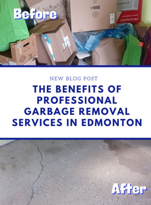 The Benefits of Professional Garbage Removal Services in Edmonton