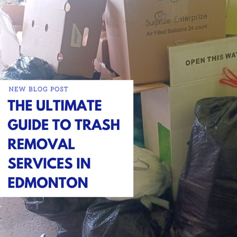 The Ultimate Guide to Trash Removal Services in Edmonton
