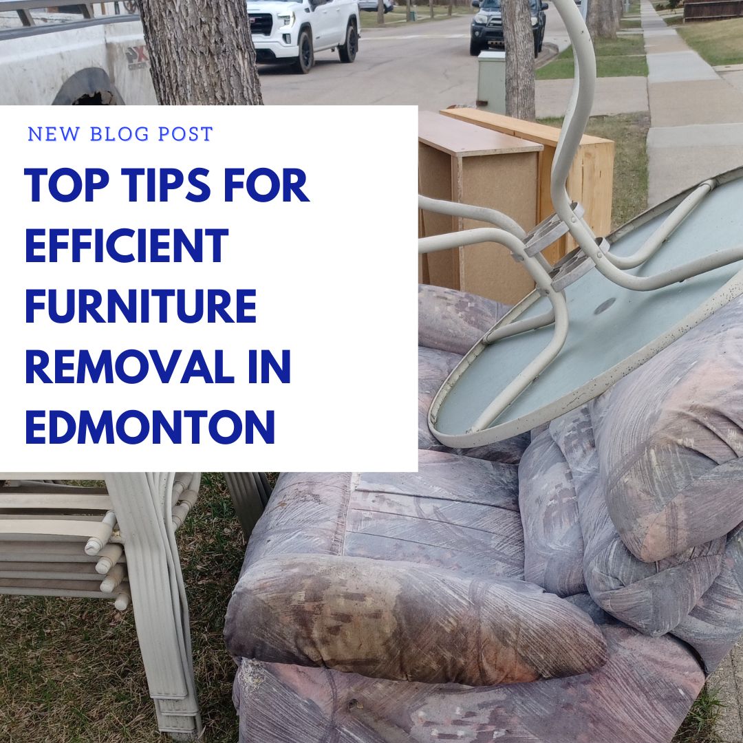 Top Tips for Efficient Furniture Removal in EdmontonGuide to Renting a Dumpster in Edmonton