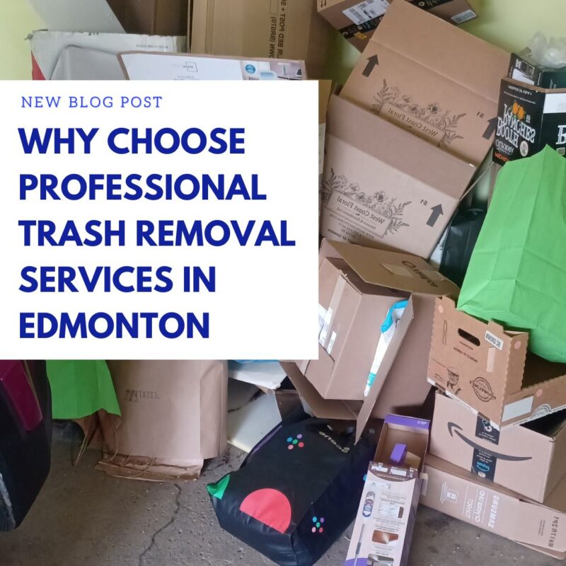 Why Choose Professional Trash Removal Services in Edmonton