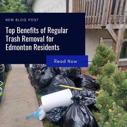 Top Benefits of Regular Trash Removal for Edmonton Residents