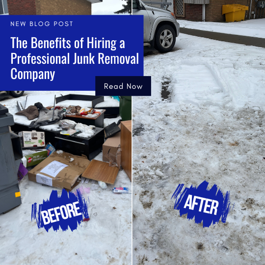 The Benefits of Hiring a Professional Junk Removal Company