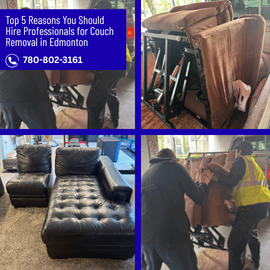 Top 5 Reasons You Should Hire Professionals for Couch Removal in Edmonton