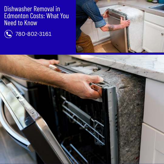 Dishwasher Removal in Edmonton Costs What You Need to Know