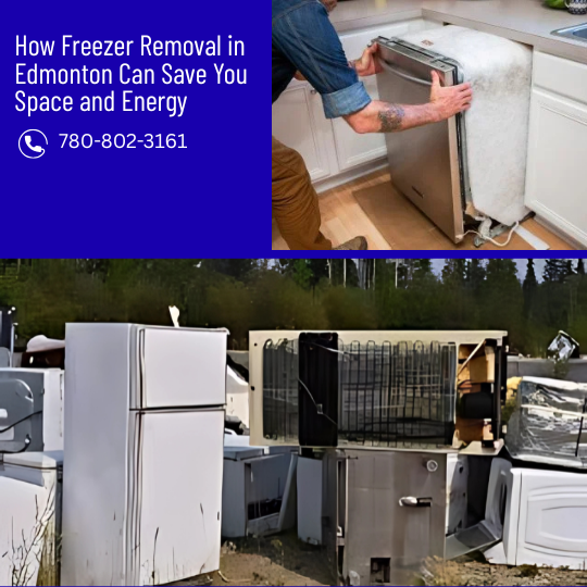 How Freezer Removal in Edmonton Can Save You Space and Energy