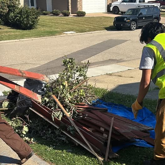 Complete house dumpster rental guide for homeowners planning waste disposal