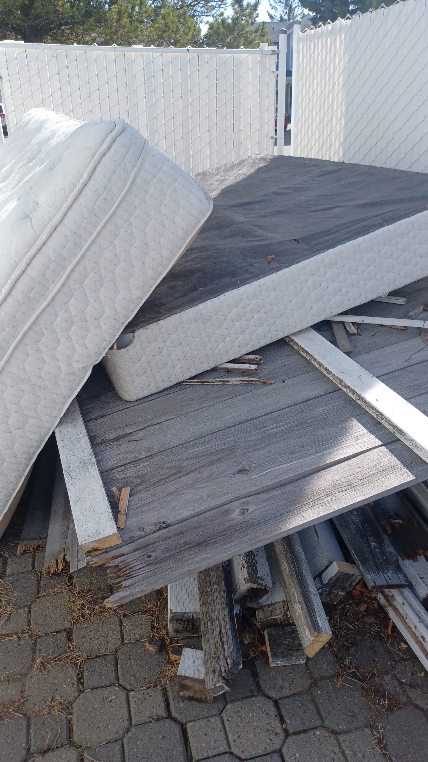 couch removal in Tamarack for quick and hassle free furniture disposal