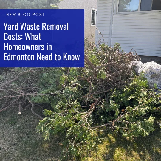 Yard Waste Removal Costs
