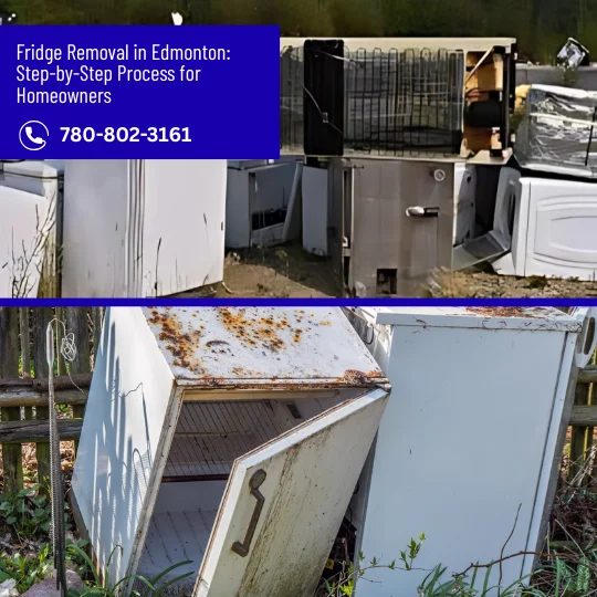 Fridge Removal in Edmonton Step by Step Process for Homeowners