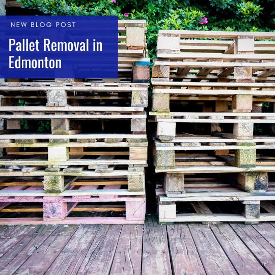 Pallet Removal in Edmonton