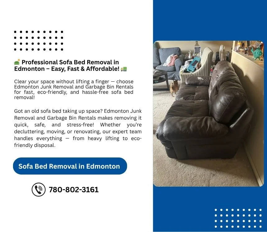 Sofa Bed Removal service