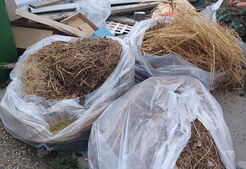 Before picture of a yard waste and junk removal service Before picture of a yard waste and junk removal service
