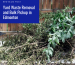Yard Waste Removal and Bulk Pickup in Edmonton